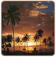 Beach, Goa Tours