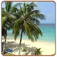 Beach, Goa Travels & Tours