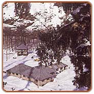 Snow Covered Hill, Manali Holiday Vacations