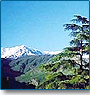 Shimla Tour