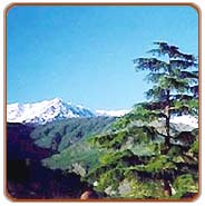 View, Shimla Vacations