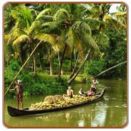 Backwaters, Alleppey Vacations