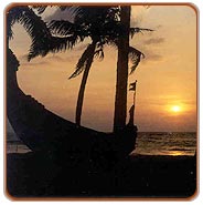 Backwaters, Alleppey Tours