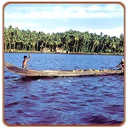 Cochin Backwater, Cochin Travel Guide