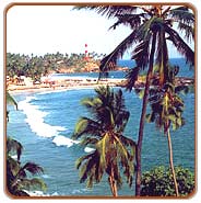Beach, Kovalam Tours & Travels