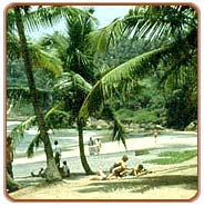 Beach, Kovalam Travels