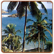Chennai Beach, Chennai Holidays