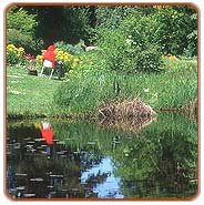 Botanical Garden, Ooty Travel Packages