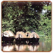 Cochin Backwater, Cochin Travel Vacations