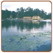 Kodaikanal Backwater, Kodaikanal Travel