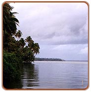 Backwaters, Kumarakom Travels