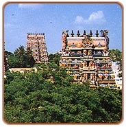 Meenakshi Temple, Madras Travels & Tours