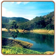 Backwaters, Munnar Tours & Travels