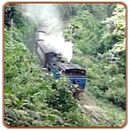 Toy Train, Ooty Tours & Travels