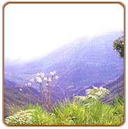 View, Ooty Vacations