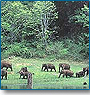 Peaceful South India