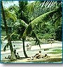 Sensation of South India Tours