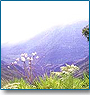 South India Holiday Packages