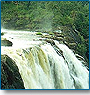 South India Spice Tour
