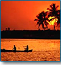 Sunny South India 
