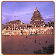 Tanjore Temple Tour