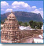 Travel Packages For South India