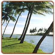 Trivandrum Backwater, Trivandrum Travel Guide