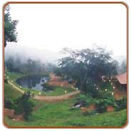 View, Vythri Travels