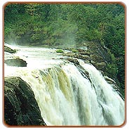Water Fall, Trivandrum Tourism