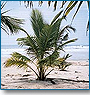 Western Ghats Tour Package