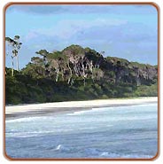Andaman Beach Tours