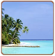 Beach, Goa Travels & Tours
