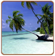 Goa Beach, Goa Tourism
