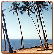 Goa Beach, Goa Holiday Vacations