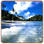 Beach, Goa Travel Packages