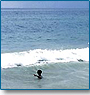 Rajasthan Palaces with Beaches
