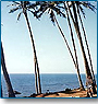 Golden Triangle with Goa