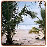 Marari Beach, Cochin Holidays