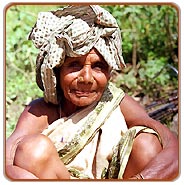 Orissa Tribals, Orissa Travel Guide