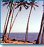 Rajasthan Palaces with Beaches