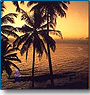 Rajasthan Palaces with Beaches