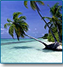 Tropical Beach Holidays 
