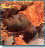Buddha Tour with Taj Mahal
