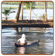 Backwaters, Cochin Tour Packages