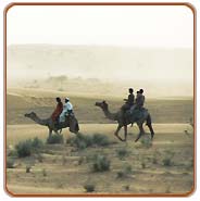 Desert, Jaipur Holiday Vacations