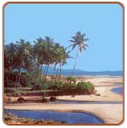 Beach, Goa Tours
