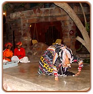 Dance, Jodhpur Travel Vacations