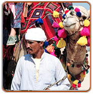 Pushkar Fair, Pushkar Tourism