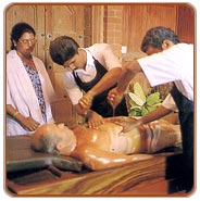 Somatheeram Ayurvedic, Chennai Vacation Tours 