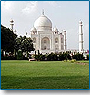 Taj and Pink City with Wildlife